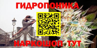 тгк Жуковский