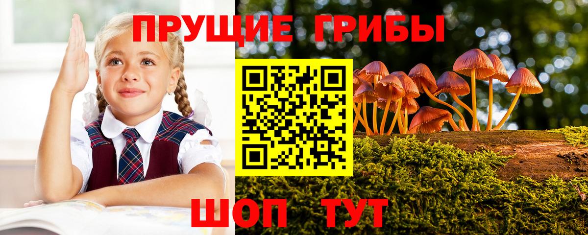 Псилоцибиновые грибы Magic Shrooms  Вход с VPN  Корсаков 